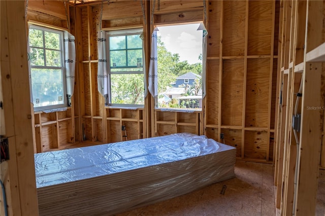 1435 17th Ave N, Saint Petersburg, FL 33704 - view of bedroom