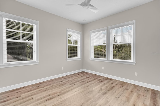 1435 17th Ave N, Saint Petersburg, FL 33704 - photo 20