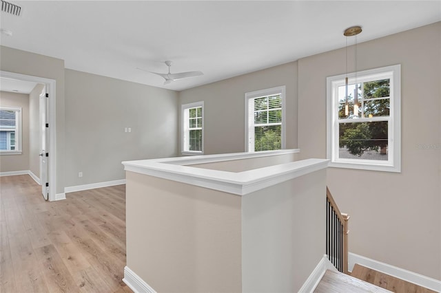 1435 17th Ave N, Saint Petersburg, FL 33704 - photo 26