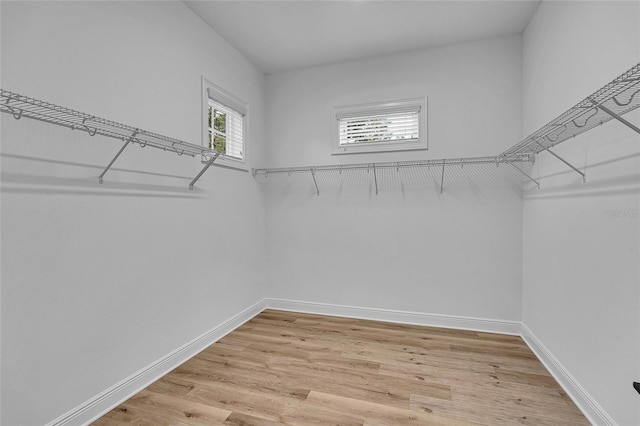 1435 17th Ave N, Saint Petersburg, FL 33704 - photo 31