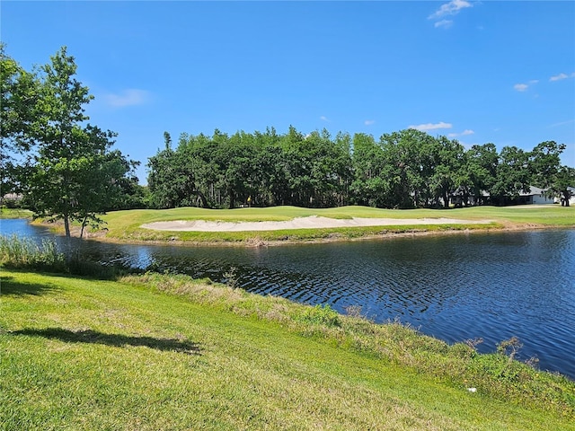 3776 Maxwell Park Dr, Sun City Center, FL 33573 - water view with a golf club and a tree filled landscape