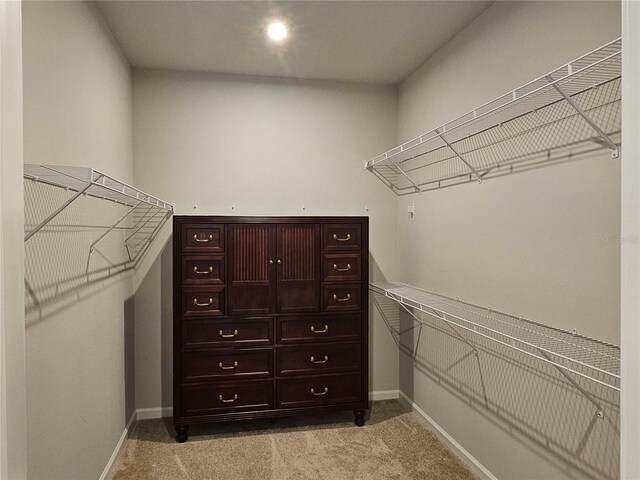 3776 Maxwell Park Dr, Sun City Center, FL 33573 - walk in closet featuring light carpet