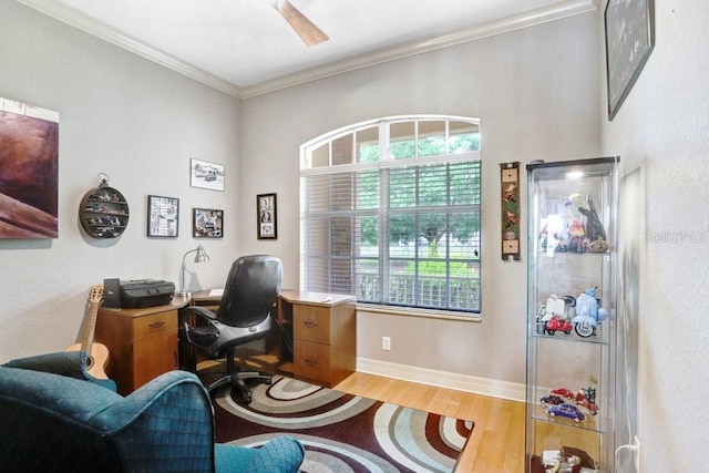 2502 Fritzke Rd, Dover, FL 33527 - office area featuring light wood-style floors, crown molding, and baseboards
