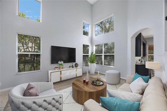 17809 Sandpine Trace Way, Tampa, FL 33647 - living room featuring a high ceiling, plenty of natural light, arched walkways, and baseboards