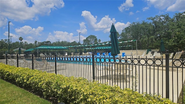 17809 Sandpine Trace Way, Tampa, FL 33647 - view of community pool