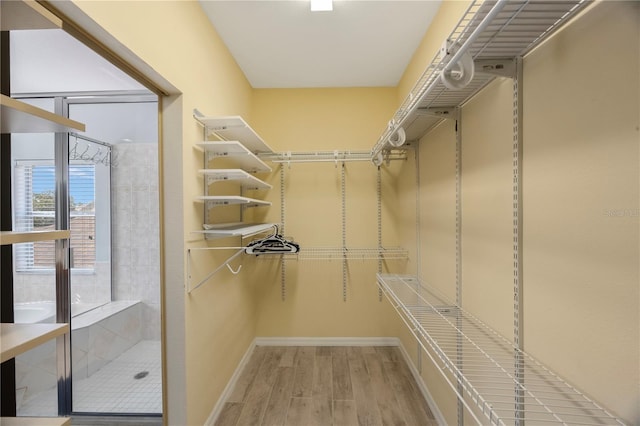 17809 Sandpine Trace Way, Tampa, FL 33647 - spacious closet featuring light wood-style flooring