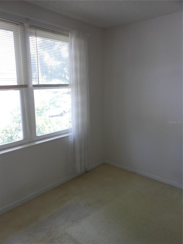 138 36th Ave N Unit 206W, Saint Petersburg, FL 33704 - photo 23