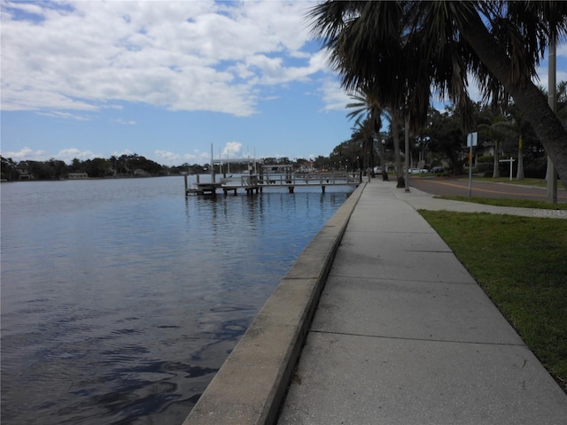 138 36th Ave N Unit 206W, Saint Petersburg, FL 33704 - photo 31