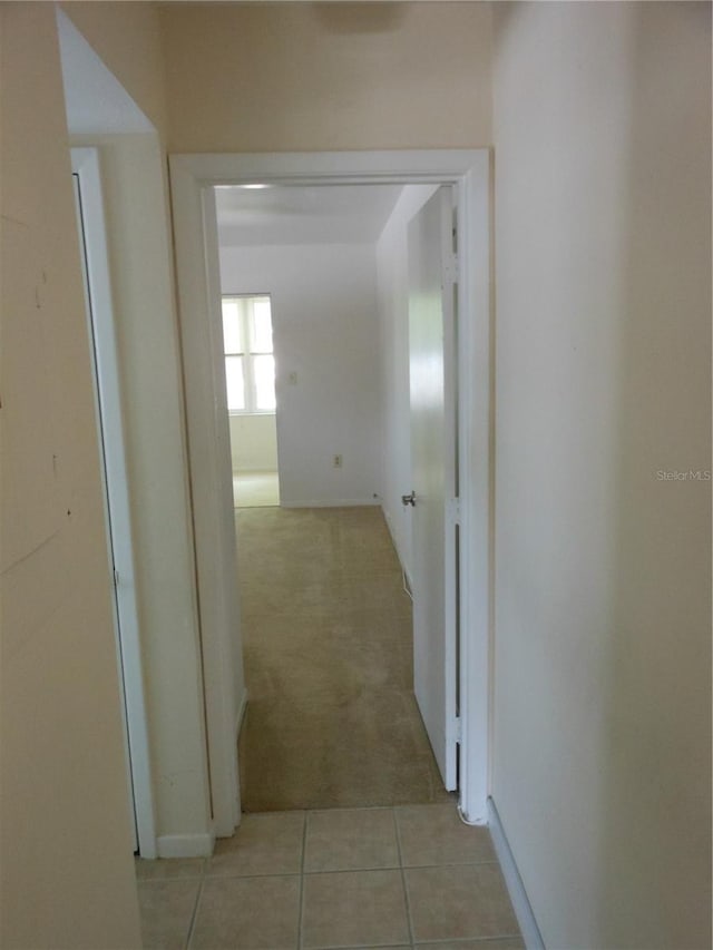 138 36th Ave N Unit 206W, Saint Petersburg, FL 33704 - photo 13