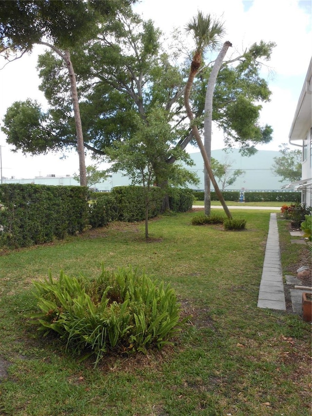 138 36th Ave N Unit 206W, Saint Petersburg, FL 33704 - photo 28