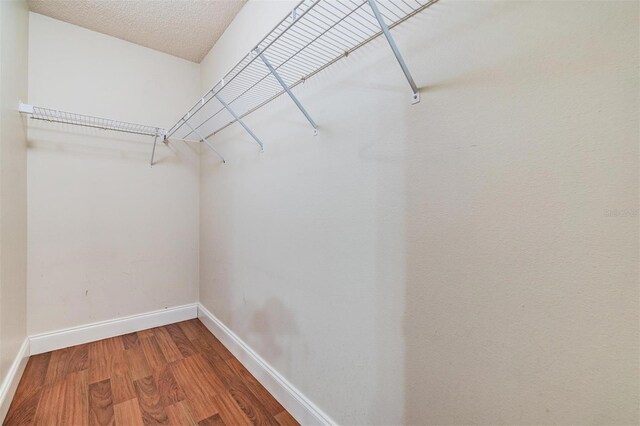 6436 Huntington Dr, Zephyrhills, FL 33542 - photo 28