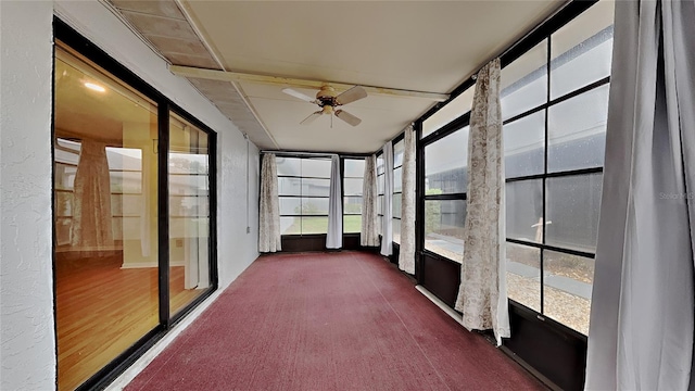 unfurnished sunroom featuring a ceiling fan and carpet flooring