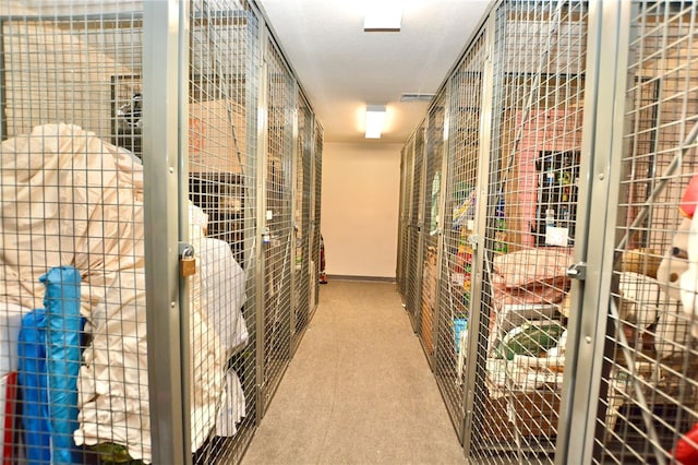 6150 Gulfport Blvd S Unit 302, Gulfport, FL 33707 - view of storage room