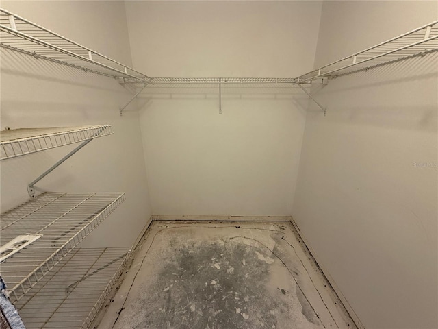 2621 Cove Cay Dr Unit 206, Clearwater, FL 33760 - view of walk in closet