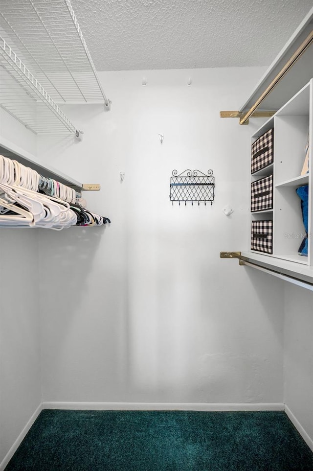 8 Glencoe Pl Unit 305, Dunedin, FL 34698 - spacious closet with carpet flooring