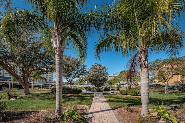 8 Glencoe Pl Unit 305, Dunedin, FL 34698 - view of community with a yard