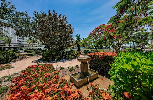 8 Glencoe Pl Unit 305, Dunedin, FL 34698 - view of yard