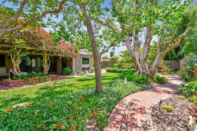 750 Alda Way NE, Saint Petersburg, FL 33704 - view of yard