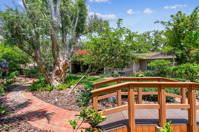 750 Alda Way NE, Saint Petersburg, FL 33704 - view of wooden deck