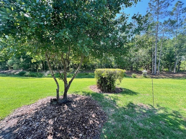 2528 Deerbrook Dr, Lakeland, FL 33811 - view of grassy yard