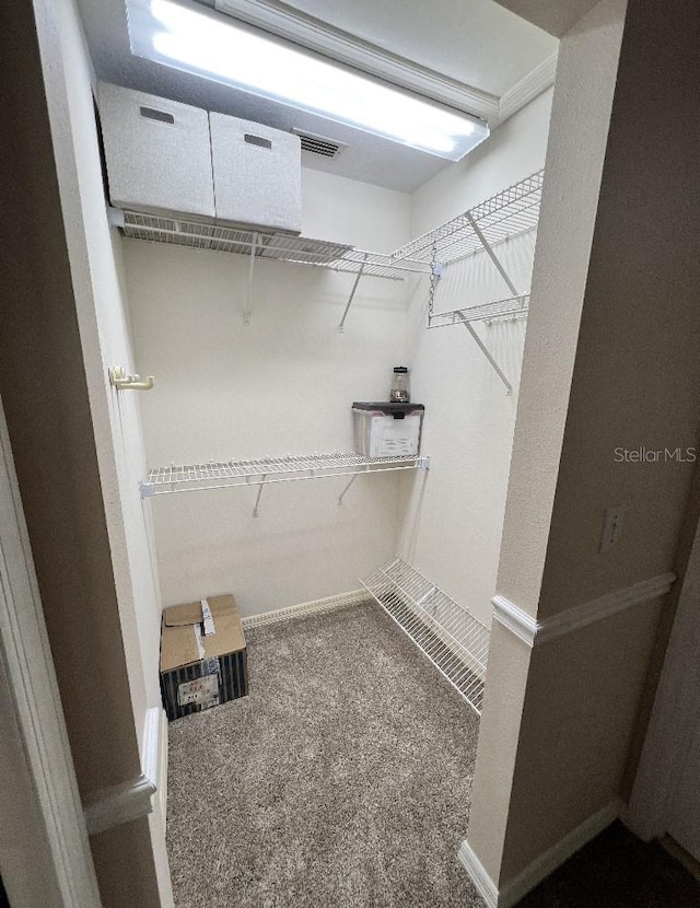 2528 Deerbrook Dr, Lakeland, FL 33811 - spacious closet featuring carpet floors