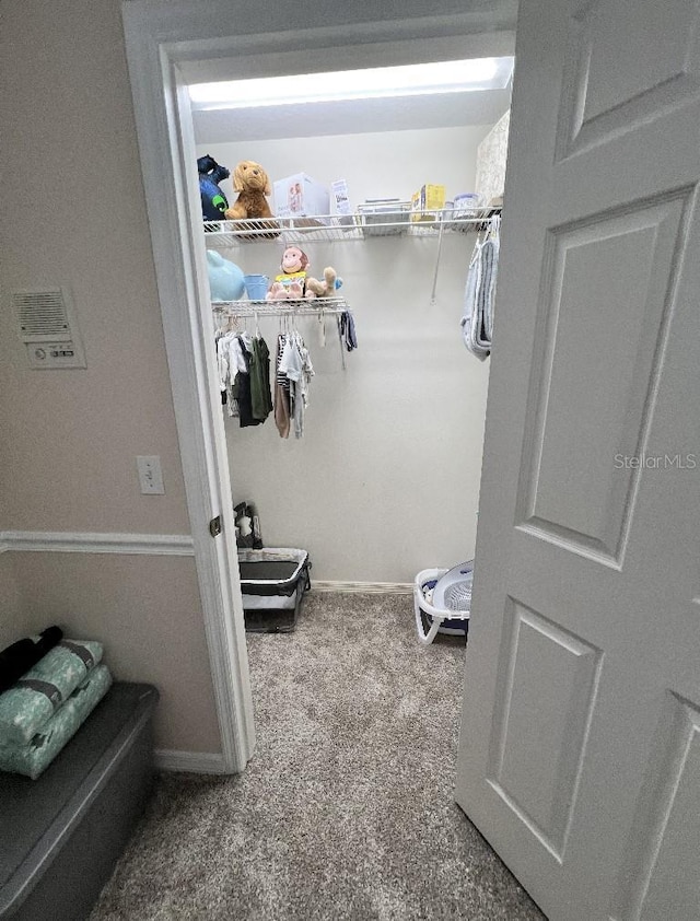 2528 Deerbrook Dr, Lakeland, FL 33811 - walk in closet with carpet