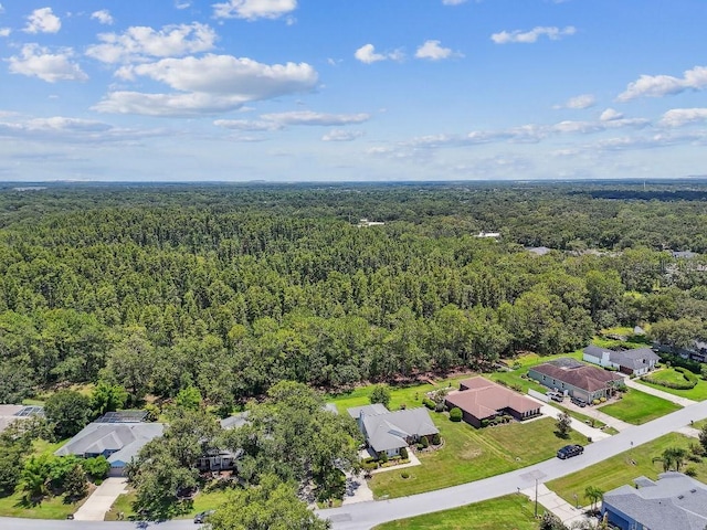 2528 Deerbrook Dr, Lakeland, FL 33811 - photo 85