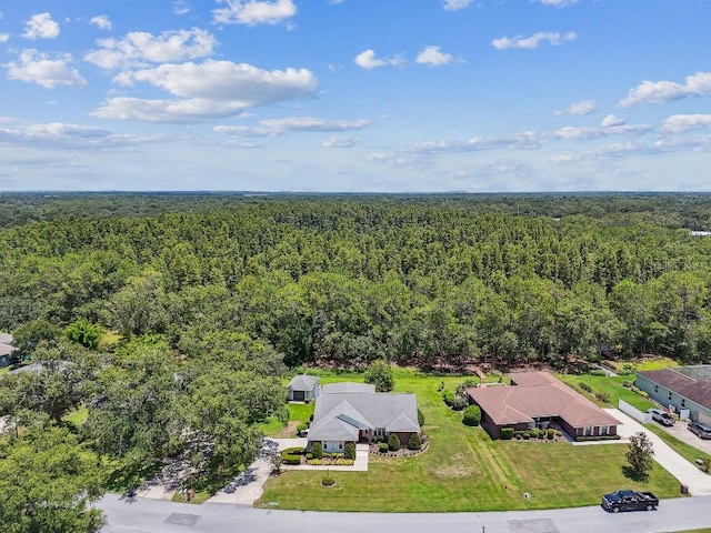2528 Deerbrook Dr, Lakeland, FL 33811 - photo 88