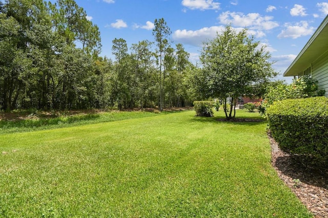 2528 Deerbrook Dr, Lakeland, FL 33811 - photo 68