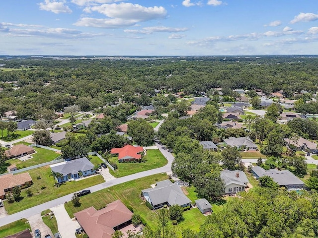 2528 Deerbrook Dr, Lakeland, FL 33811 - photo 93