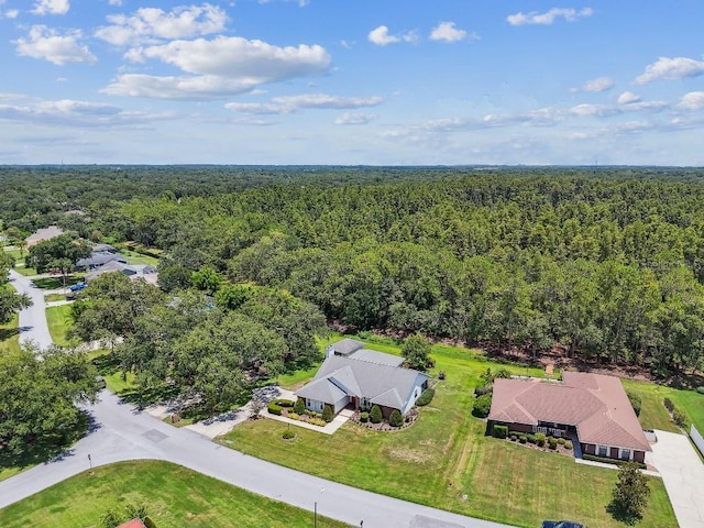 2528 Deerbrook Dr, Lakeland, FL 33811 - photo 84