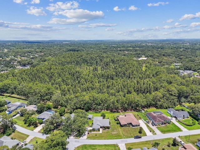 2528 Deerbrook Dr, Lakeland, FL 33811 - photo 86