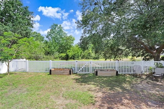 13523 Prestwick Dr, Riverview, FL 33579 - view of yard