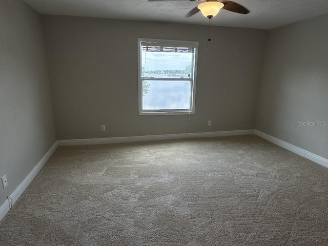 2557 Cedar Cypress Ct, Tampa, FL 33618 - carpeted empty room with ceiling fan and baseboards