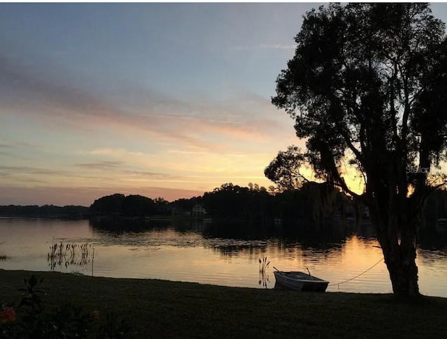 2557 Cedar Cypress Ct, Tampa, FL 33618 - water view