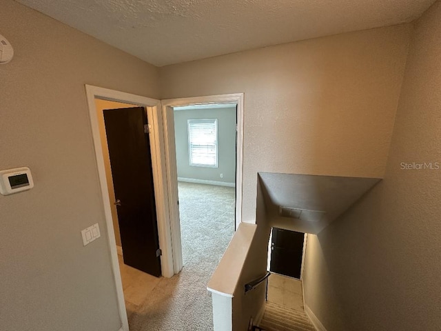 2557 Cedar Cypress Ct, Tampa, FL 33618 - corridor featuring carpet floors and a textured ceiling