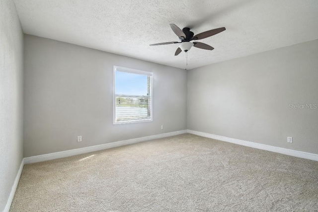 2557 Cedar Cypress Ct, Tampa, FL 33618 - photo 25