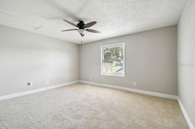 2557 Cedar Cypress Ct, Tampa, FL 33618 - photo 27