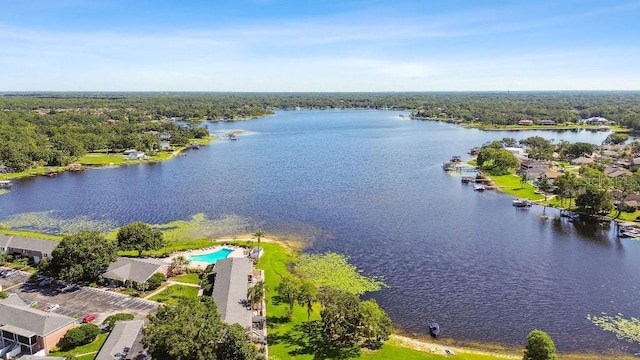 2557 Cedar Cypress Ct, Tampa, FL 33618 - photo 4