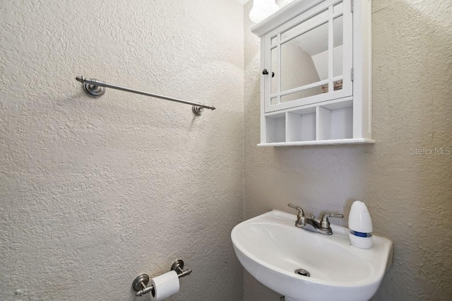 2557 Cedar Cypress Ct, Tampa, FL 33618 - photo 15