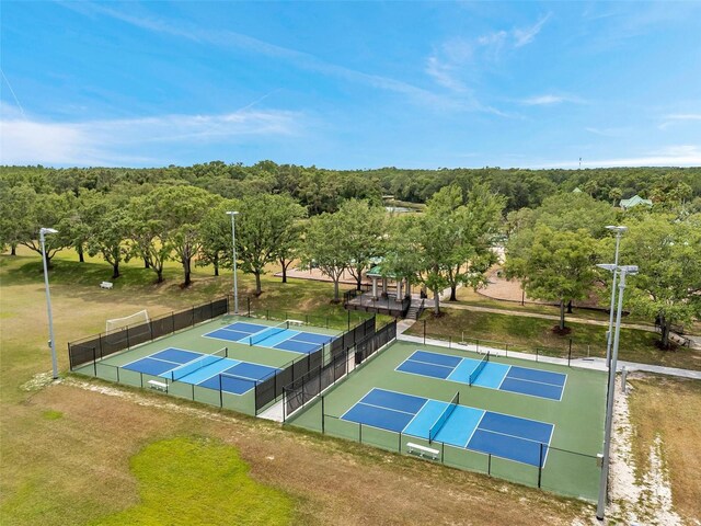 19156 Dove Creek Dr, Tampa, FL 33647 - photo 58