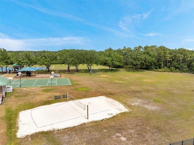 19156 Dove Creek Dr, Tampa, FL 33647 - photo 59