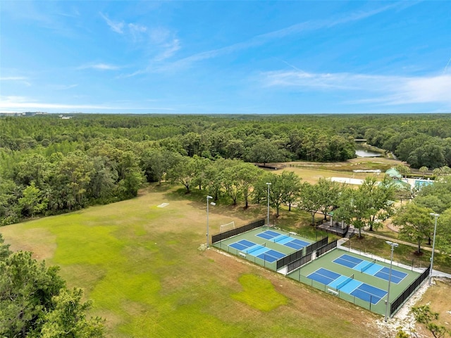 19156 Dove Creek Dr, Tampa, FL 33647 - photo 67