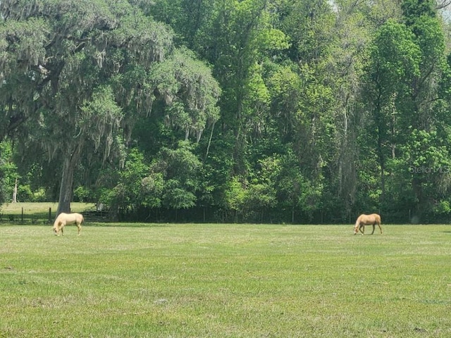 0 NE 132nd Pl, Anthony, FL 32617