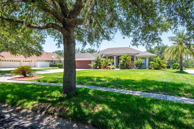 ranch-style house featuring concrete driveway, an attached garage, and a front lawn