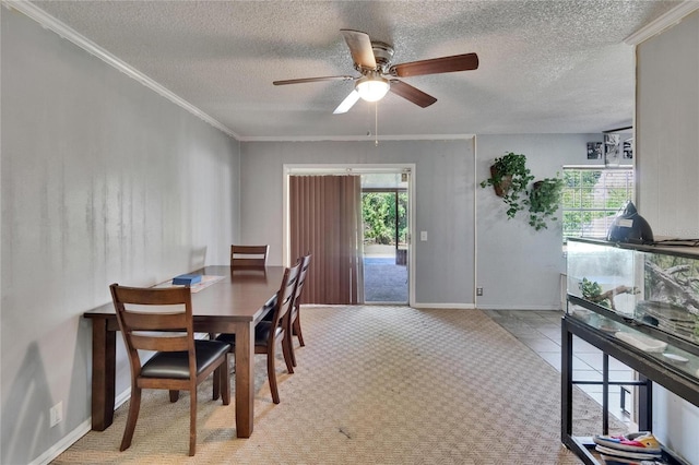 1716 Bayou Cir, Lakeland, FL 33803 - dining room with a textured ceiling, light carpet, ceiling fan, baseboards, and crown molding