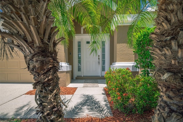 19247 Otters Wick Way, Land O Lakes, FL 34638 - entrance to property featuring stucco siding