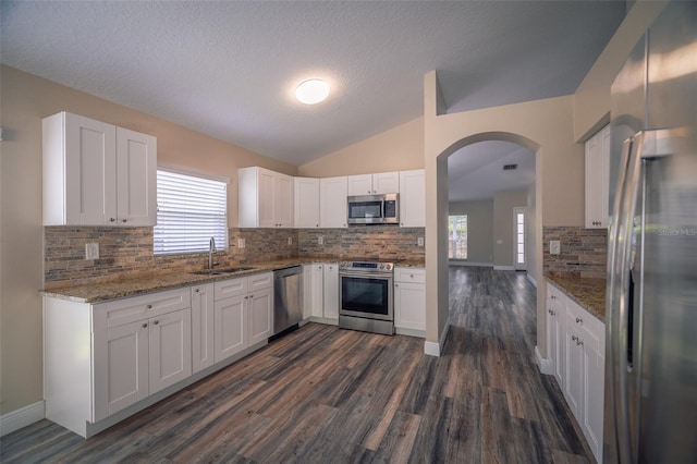 19247 Otters Wick Way, Land O Lakes, FL 34638 - kitchen featuring appliances with stainless steel finishes, a sink, tasteful backsplash, dark wood-style flooring, and light stone counters