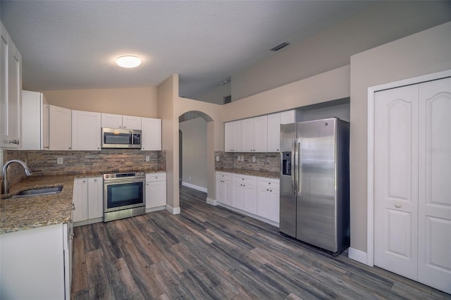19247 Otters Wick Way, Land O Lakes, FL 34638 - kitchen with stainless steel appliances, a sink, lofted ceiling, decorative backsplash, and light stone counters