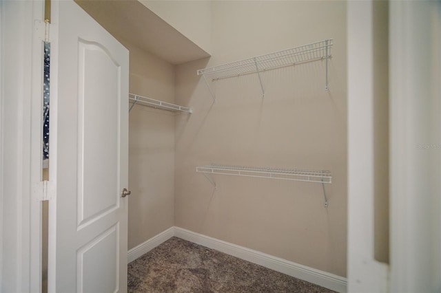 19247 Otters Wick Way, Land O Lakes, FL 34638 - spacious closet with carpet
